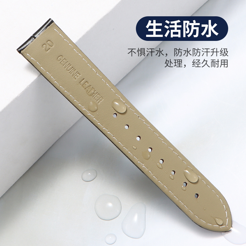 オリジナル パテック フィリップ アクアノート コンプリケー - Luxury Watch Patek Philippe のレビューと価格